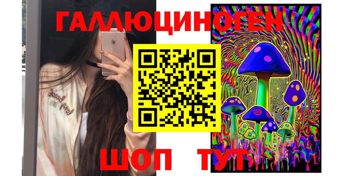 Псилоцибиновые грибы Psilocybine cubensis Звенигород